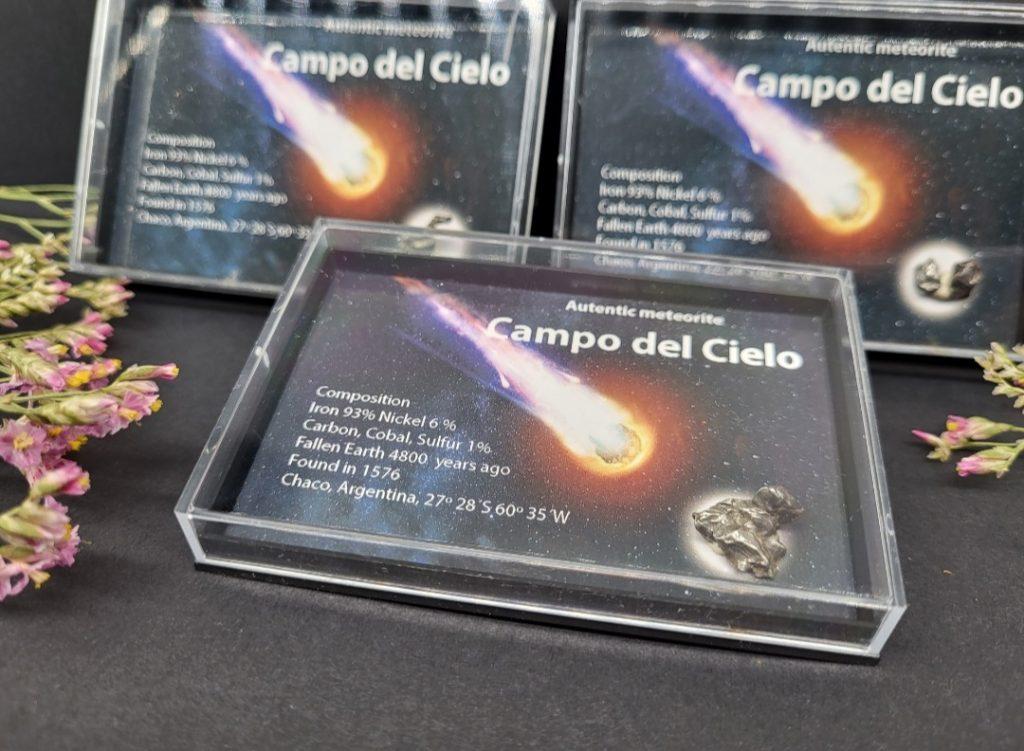 Meteorit Campo del Cielo - naravni mineral kristal