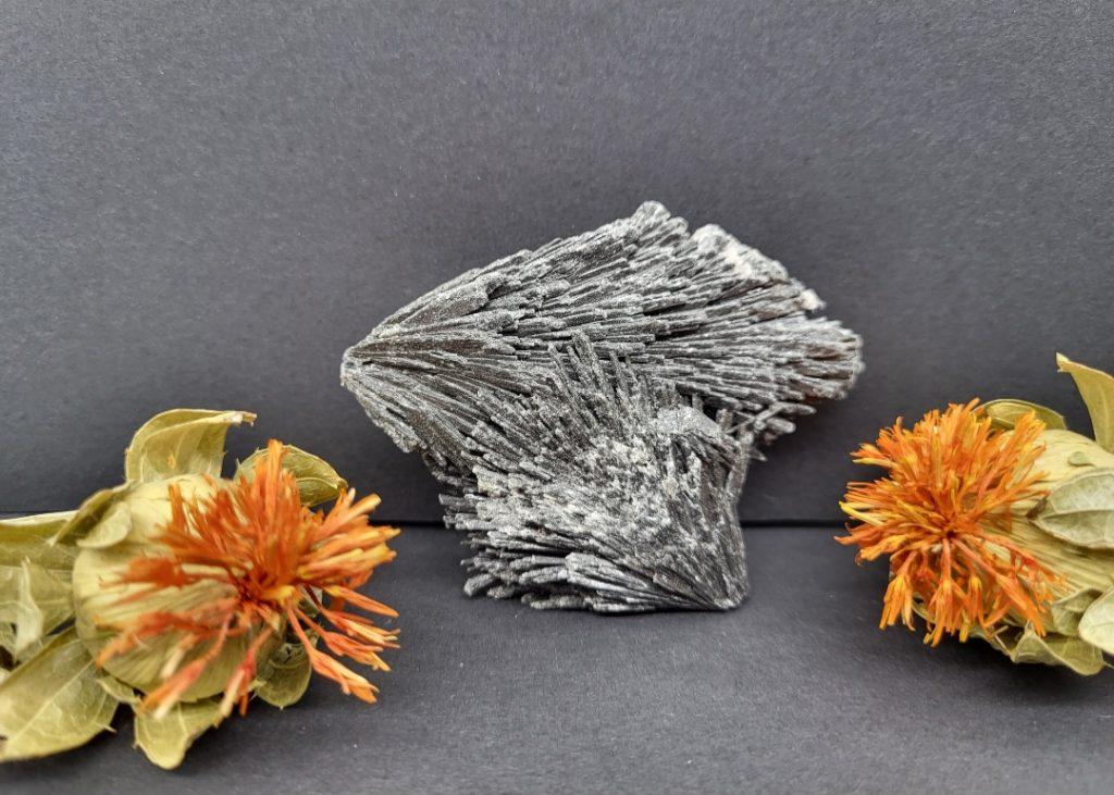 u010crni kianit - naravni mineral kristal