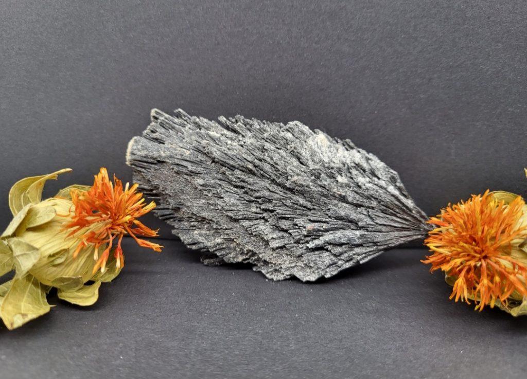 u010crni kianit - naravni mineral kristal