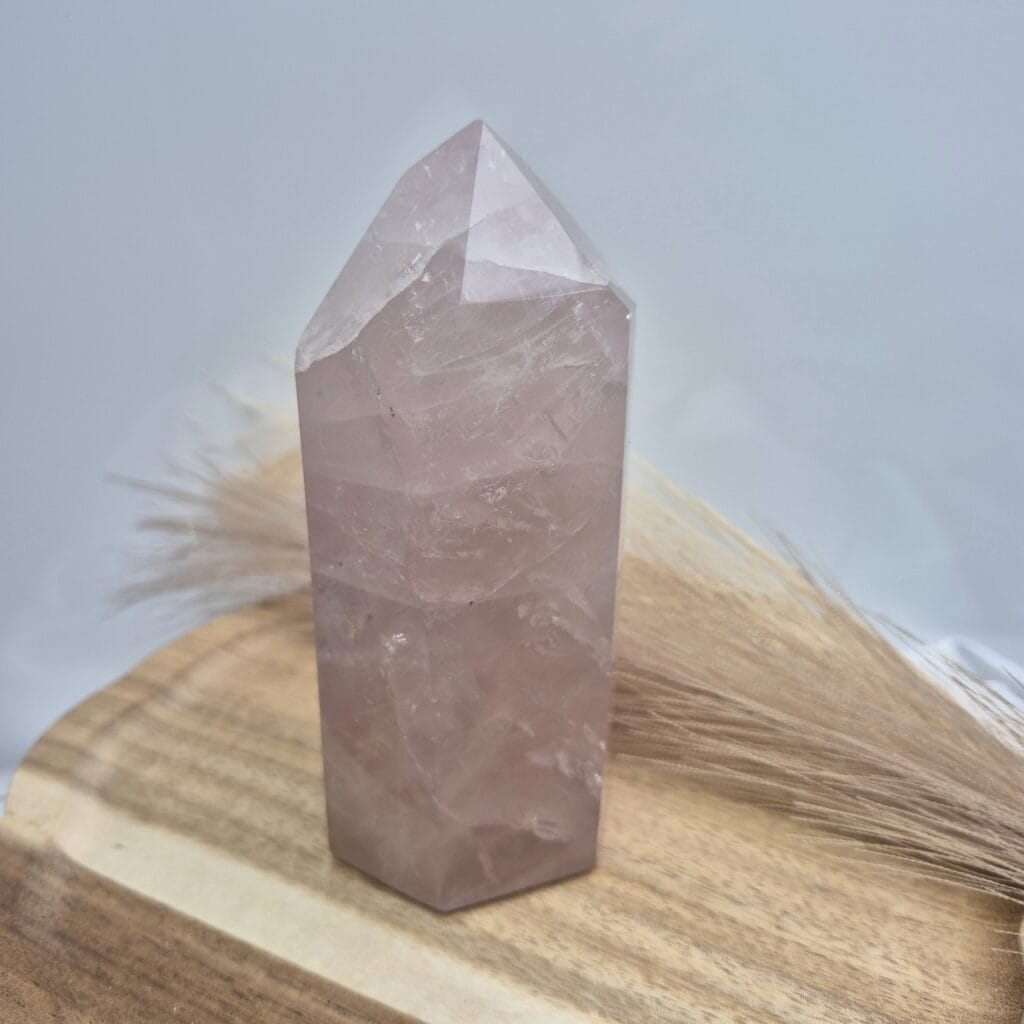 Roževec – Madagaskar, 12 × 5,5 cm